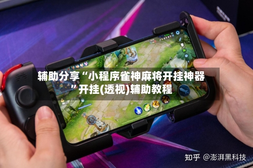 辅助分享“小程序雀神麻将开挂神器”开挂(透视)辅助教程-第3张图片