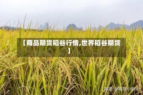 【商品期货稻谷行情,世界稻谷期货】-第2张图片
