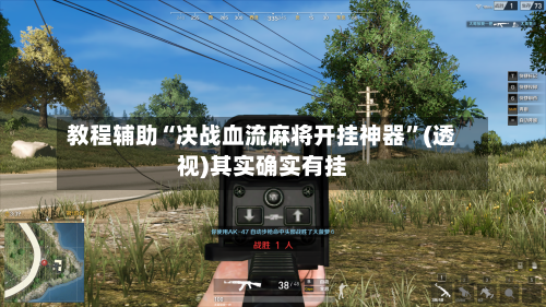 教程辅助“决战血流麻将开挂神器”(透视)其实确实有挂-第3张图片