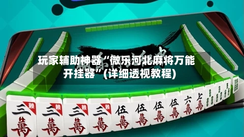 玩家辅助神器“微乐河北麻将万能开挂器”(详细透视教程)