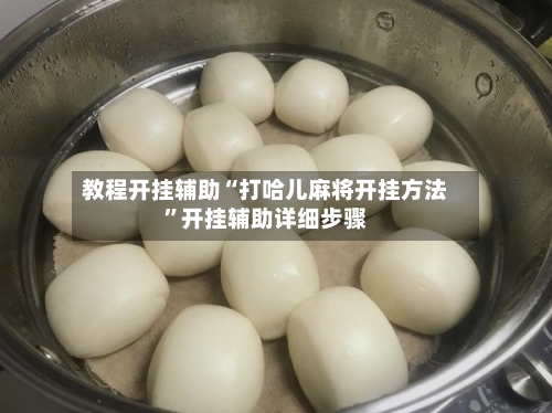 教程开挂辅助“打哈儿麻将开挂方法	”开挂辅助详细步骤-第2张图片