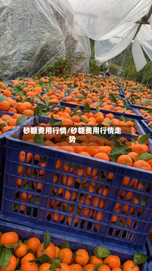 砂糖费用行情/砂糖费用行情走势
