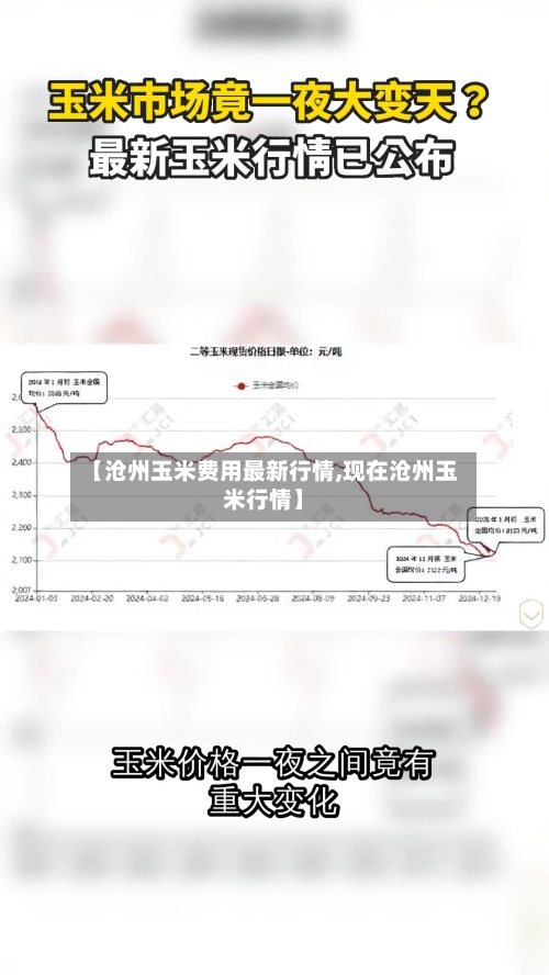 【沧州玉米费用最新行情,现在沧州玉米行情】