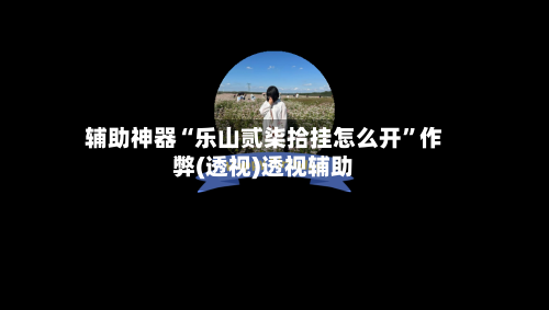 辅助神器“乐山贰柒拾挂怎么开”作弊(透视)透视辅助-第2张图片