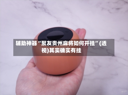 辅助神器“聚友贵州麻将如何开挂”(透视)其实确实有挂