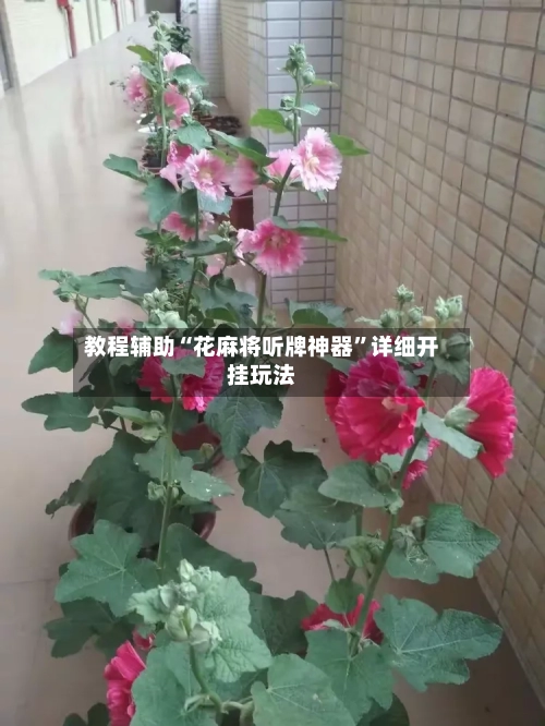 教程辅助“花麻将听牌神器	”详细开挂玩法-第2张图片