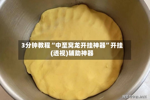 3分钟教程“中至窝龙开挂神器”开挂(透视)辅助神器-第3张图片