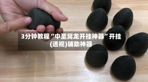 3分钟教程“中至窝龙开挂神器”开挂(透视)辅助神器-第2张图片