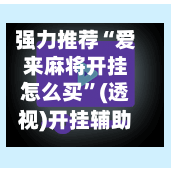 强力推荐“爱来麻将开挂怎么买”(透视)开挂辅助脚本+详细开挂安装教程-第3张图片