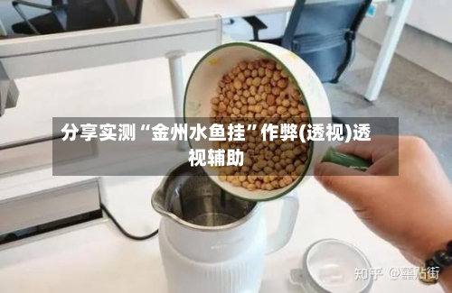 分享实测“金州水鱼挂”作弊(透视)透视辅助