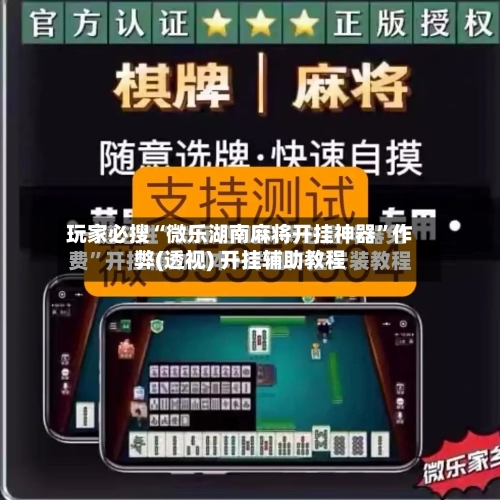 玩家必搜“微乐湖南麻将开挂神器	”作弊(透视) 开挂辅助教程-第2张图片