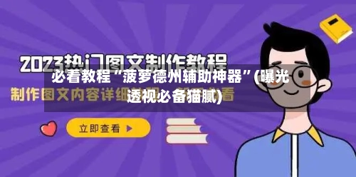 必看教程“菠萝德州辅助神器”(曝光透视必备猫腻)-第3张图片