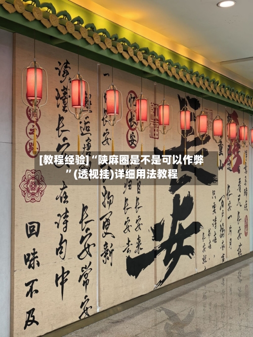[教程经验]“陕麻圈是不是可以作弊”(透视挂)详细用法教程-第2张图片