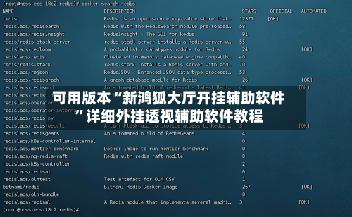 可用版本“新鸿狐大厅开挂辅助软件”详细外挂透视辅助软件教程-第2张图片