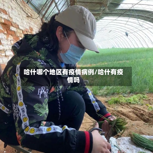 哈什哪个地区有疫情病例/哈什有疫情吗