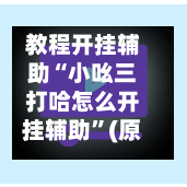 教程开挂辅助“小吆三打哈怎么开挂辅助”(原来确实是有插件)
