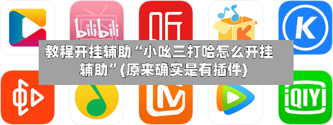 教程开挂辅助“小吆三打哈怎么开挂辅助”(原来确实是有插件)-第3张图片