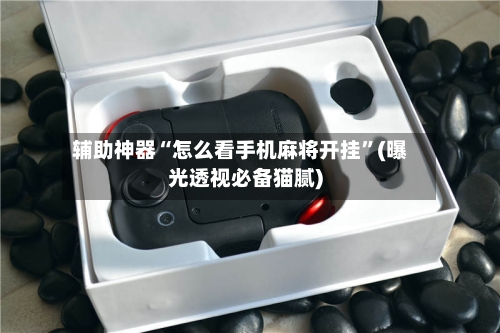 辅助神器“怎么看手机麻将开挂”(曝光透视必备猫腻)-第3张图片