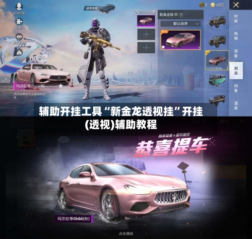 辅助开挂工具“新金龙透视挂”开挂(透视)辅助教程-第3张图片
