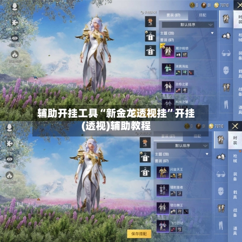 辅助开挂工具“新金龙透视挂	”开挂(透视)辅助教程-第2张图片
