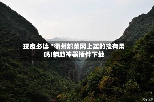 玩家必读“衢州都莱网上买的挂有用吗!辅助神器插件下载-第2张图片