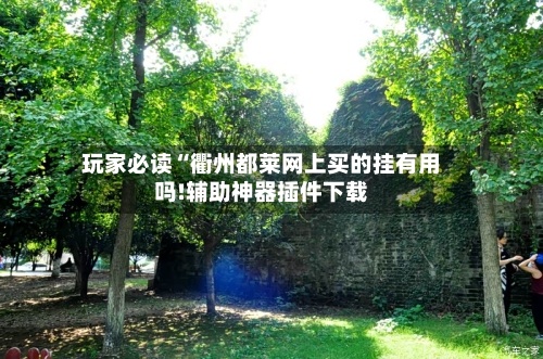 玩家必读“衢州都莱网上买的挂有用吗!辅助神器插件下载