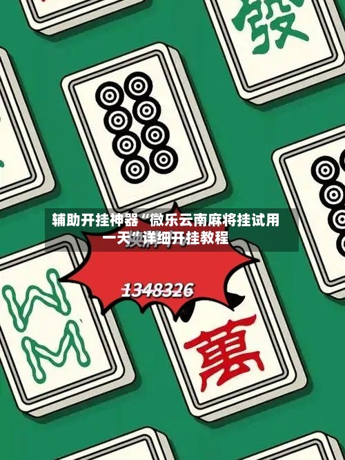 辅助开挂神器“微乐云南麻将挂试用一天”详细开挂教程-第2张图片