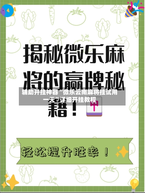 辅助开挂神器“微乐云南麻将挂试用一天”详细开挂教程