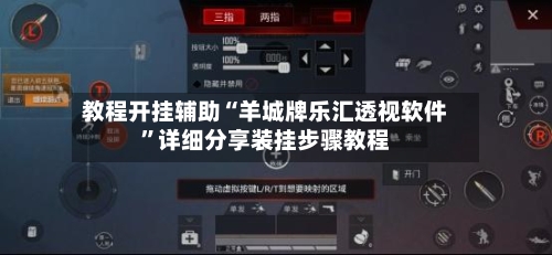 教程开挂辅助“羊城牌乐汇透视软件	”详细分享装挂步骤教程-第2张图片