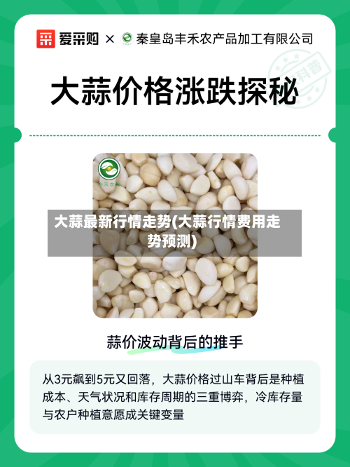 大蒜最新行情走势(大蒜行情费用走势预测)-第2张图片