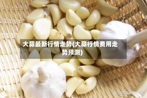 大蒜最新行情走势(大蒜行情费用走势预测)