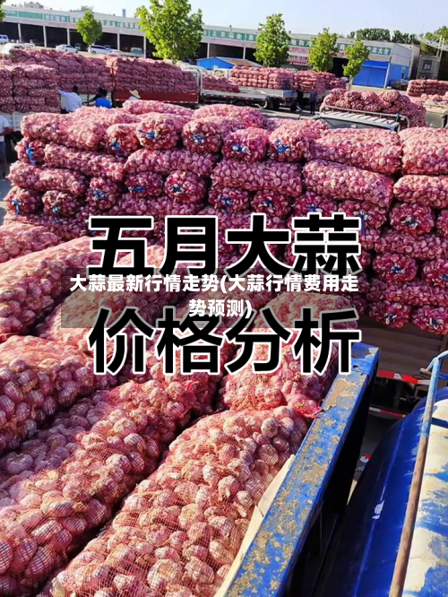 大蒜最新行情走势(大蒜行情费用走势预测)-第3张图片