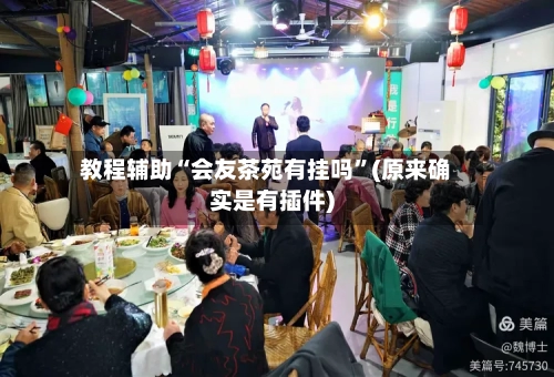 教程辅助“会友茶苑有挂吗”(原来确实是有插件)