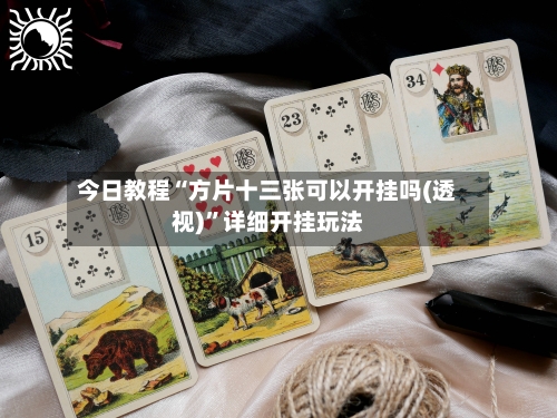 今日教程“方片十三张可以开挂吗(透视)”详细开挂玩法-第2张图片