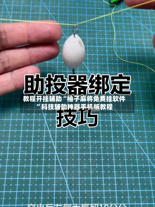 教程开挂辅助“柚子麻将免费挂软件”科技辅助神器手机版教程
