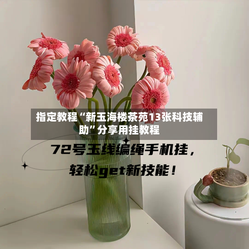 指定教程“新玉海楼茶苑13张科技辅助”分享用挂教程