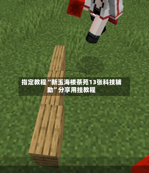 指定教程“新玉海楼茶苑13张科技辅助”分享用挂教程-第2张图片