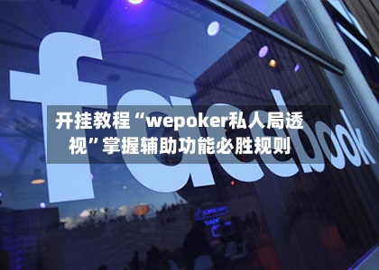 开挂教程“wepoker私人局透视	”掌握辅助功能必胜规则-第2张图片