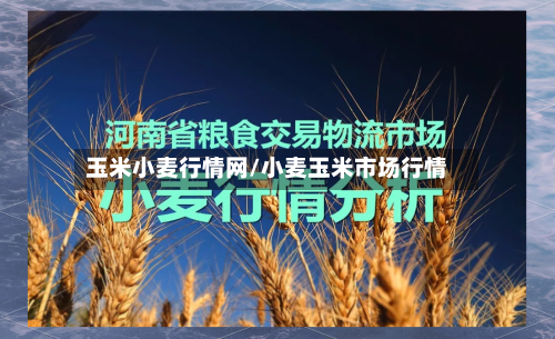 玉米小麦行情网/小麦玉米市场行情-第2张图片