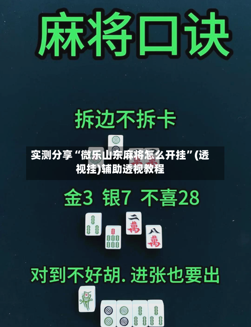 实测分享“微乐山东麻将怎么开挂”(透视挂)辅助透视教程-第3张图片