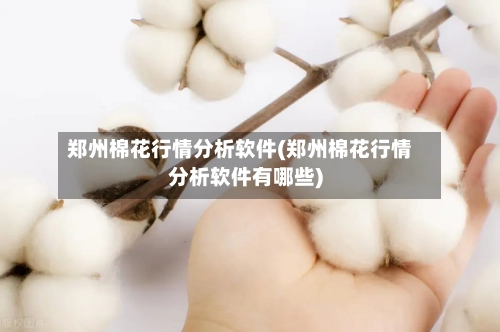 郑州棉花行情分析软件(郑州棉花行情分析软件有哪些)-第2张图片