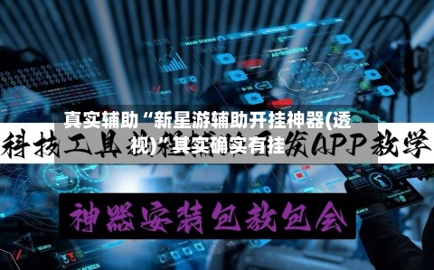 真实辅助“新星游辅助开挂神器(透视)”其实确实有挂-第2张图片