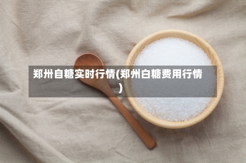郑卅自糖实时行情(郑州白糖费用行情)