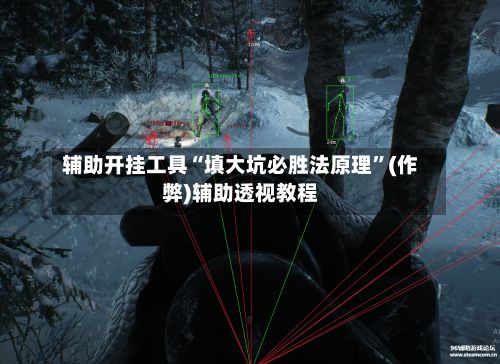 辅助开挂工具“填大坑必胜法原理”(作弊)辅助透视教程-第2张图片