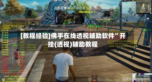 [教程经验]佛手在线透视辅助软件”开挂(透视)辅助教程-第3张图片