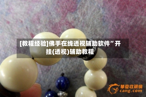 [教程经验]佛手在线透视辅助软件”开挂(透视)辅助教程-第2张图片
