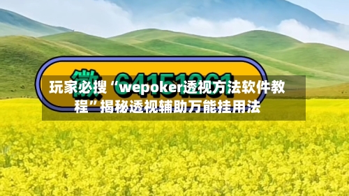 玩家必搜“wepoker透视方法软件教程	”揭秘透视辅助万能挂用法-第2张图片