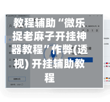 教程辅助“微乐捉老麻子开挂神器教程	”作弊(透视) 开挂辅助教程-第2张图片