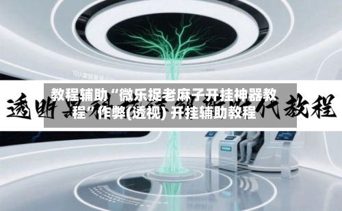 教程辅助“微乐捉老麻子开挂神器教程”作弊(透视) 开挂辅助教程-第3张图片
