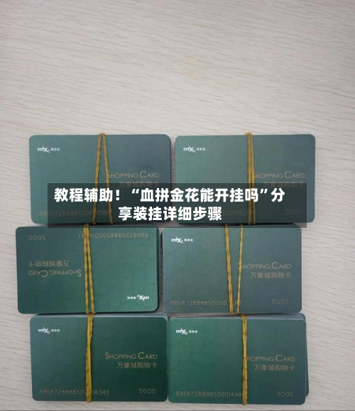 教程辅助！“血拼金花能开挂吗	”分享装挂详细步骤-第2张图片